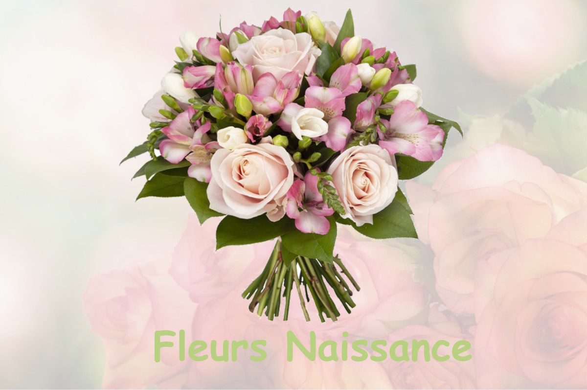 fleurs naissance CHEVIGNY